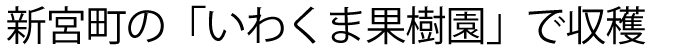 新宮町の農園で収穫