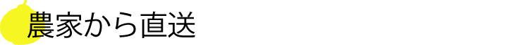 農家から直送