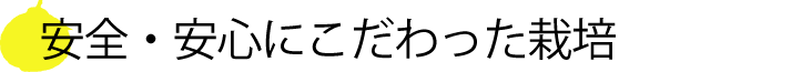 安全・安心にこだわった栽培
