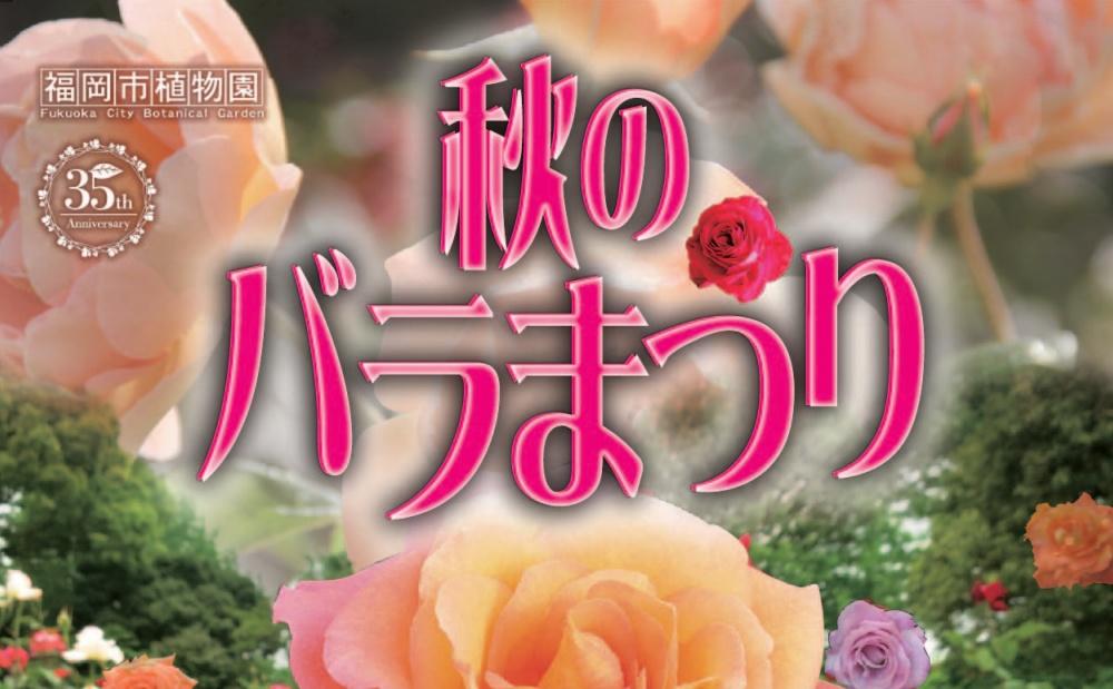 福岡市植物園で「秋のバラまつり」開催