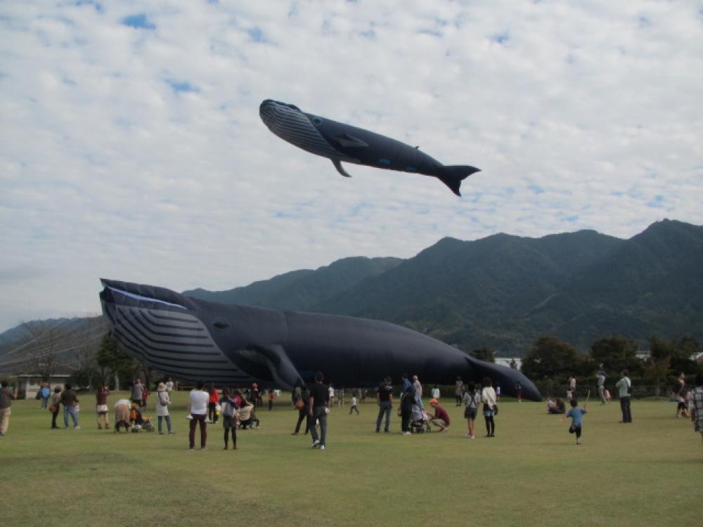 久留米ふれあい農業公園で2016年の「たこあげ大会」開催