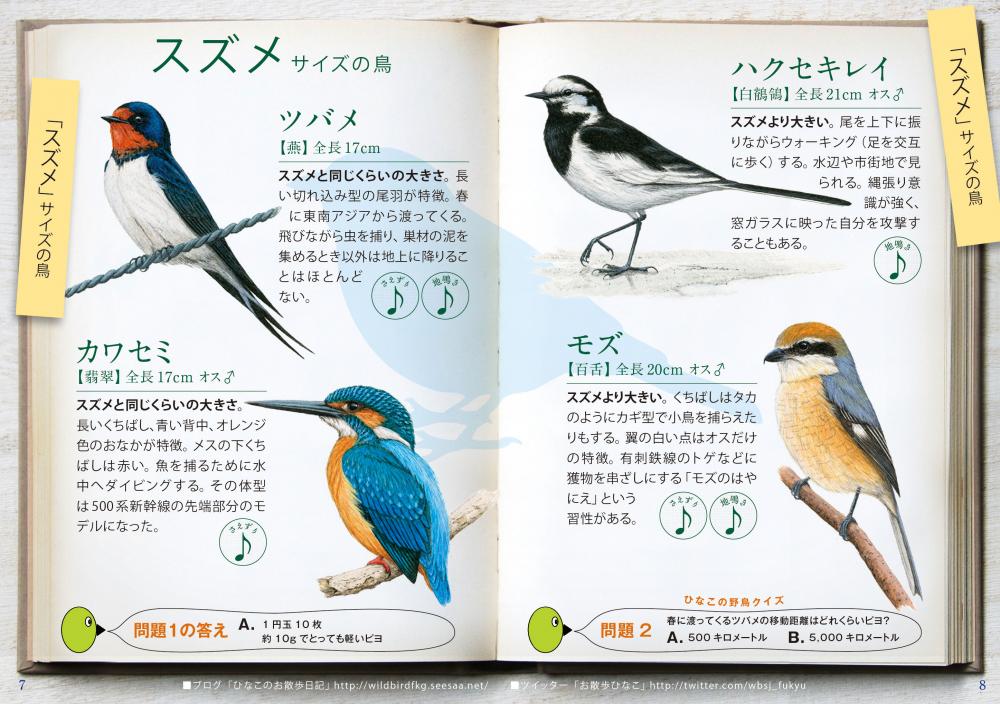 日本野鳥の会が「おさんぽ鳥図鑑」を無料配布｜ニューストピックス【しんぐうプラス】