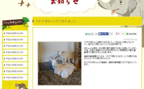 福岡市動物園でやぎのあかちゃんが生まれました