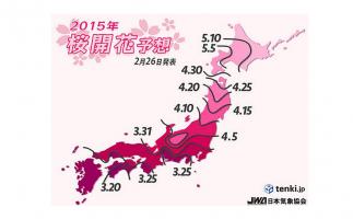 桜前線はもうすぐ!2015年桜開花予想の第2報を発表
