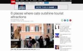 CNNが選ぶ「世界の猫スポット」に相島が選ばれていた!?