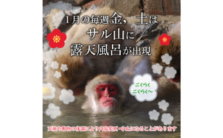 福岡市動物園のサル山に露天風呂が登場
