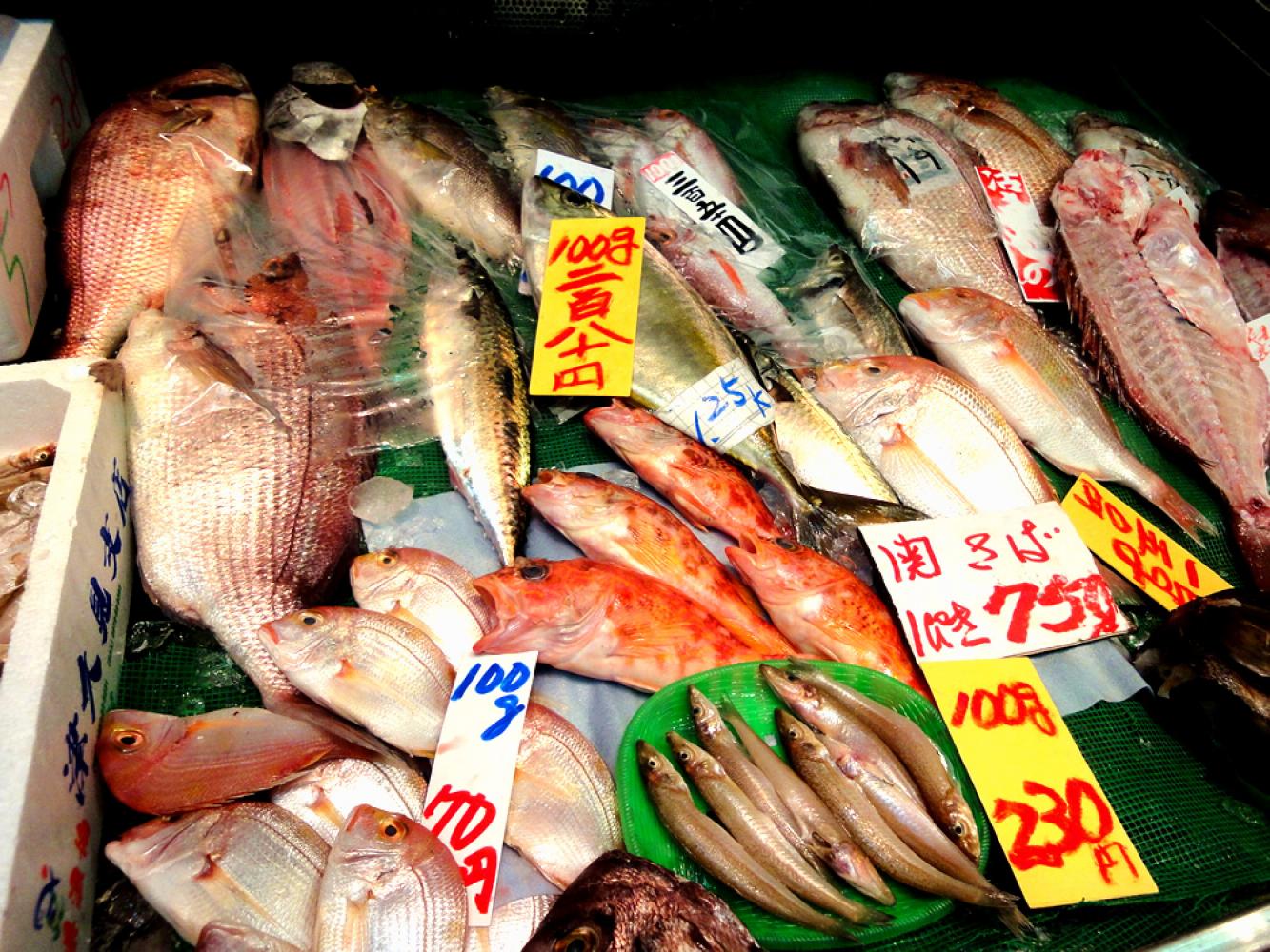 種類も豊富 松本鮮魚 「かがやき鮮魚店」