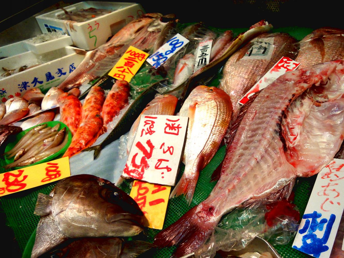 鮮度抜群 松本鮮魚 「かがやき鮮魚店」