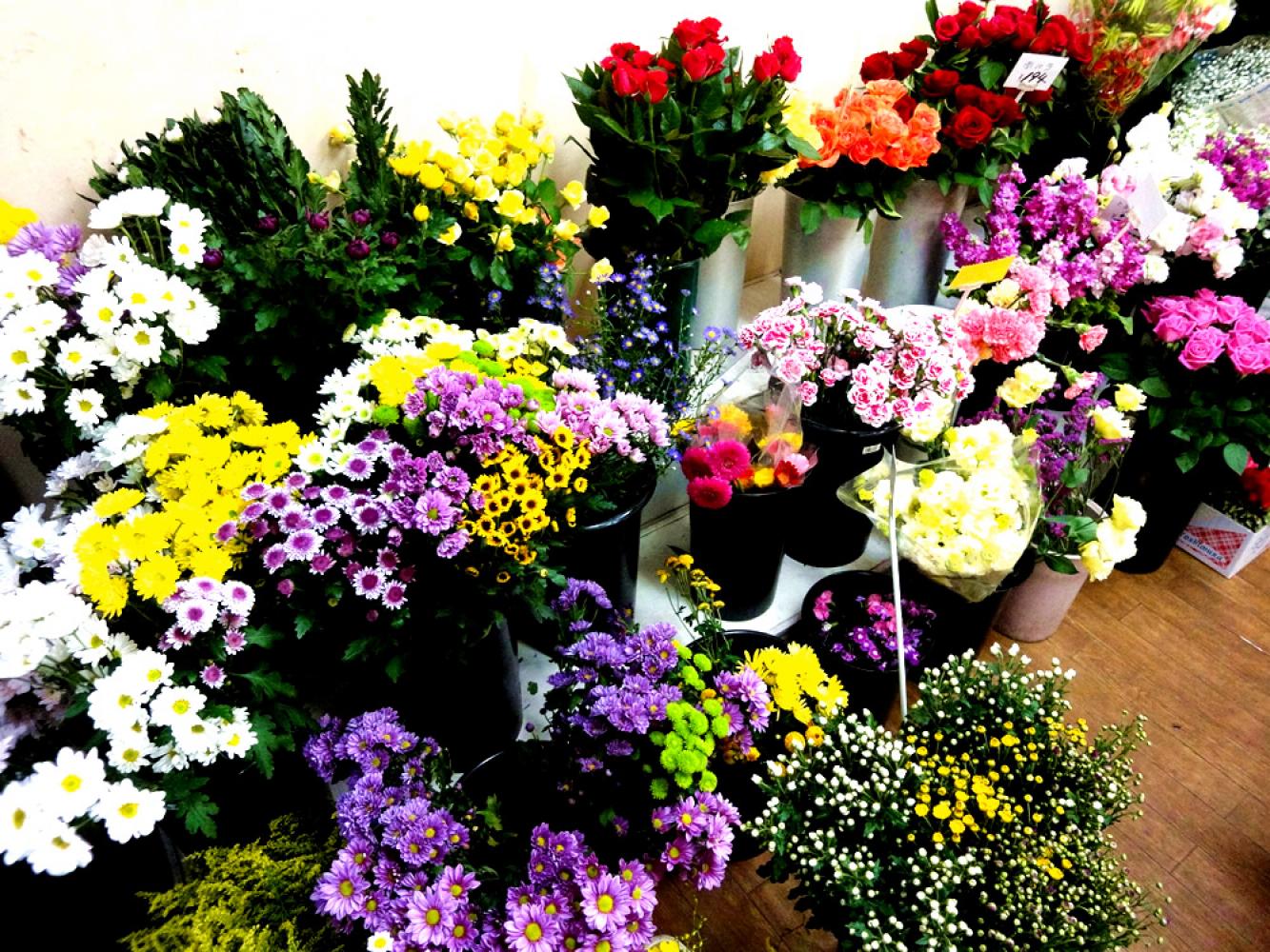 冷蔵庫を使わず、開花時期を調整しない元気な花が並びます 生花と園芸のふじい