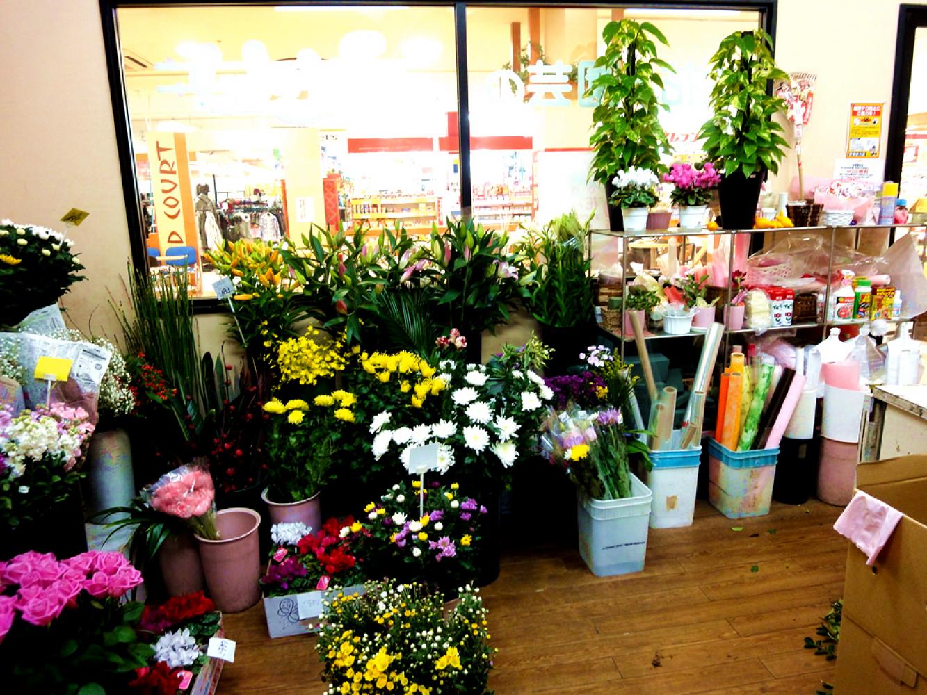 店内には季節の旬のお花がたくさん 生花と園芸のふじい