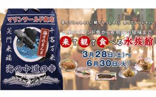 マリンワールド海の中道で春の特別展「来て観て食べる水族館」開催